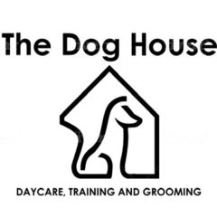 Kerry Dog Training